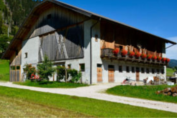 Berghotel Partner Hofkäserei Veiderhof