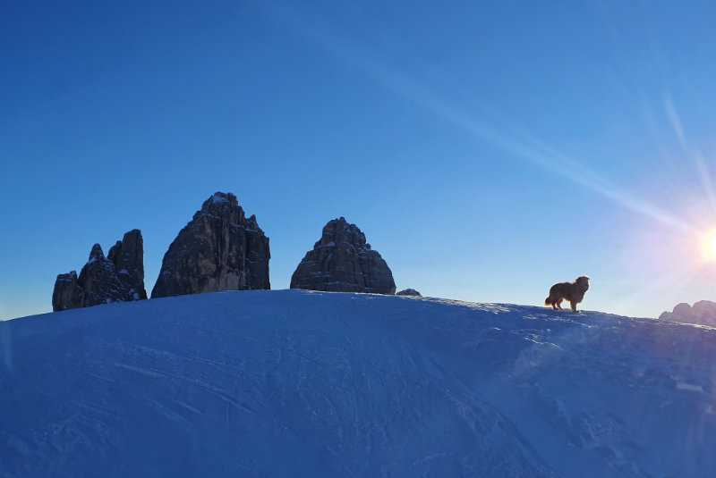 Winter in the Dolomites of Sexten