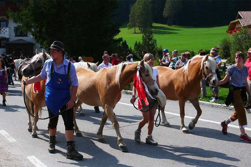 Termine & Besonderheiten