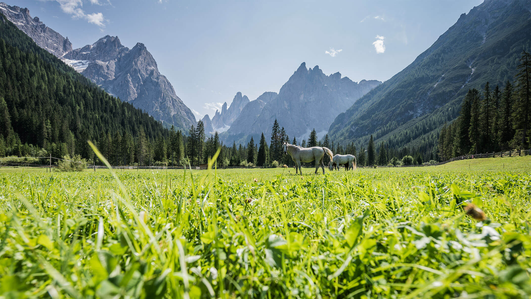 Das Fischleintal im Sommer