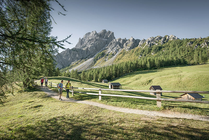 Prati di Croda Rossa