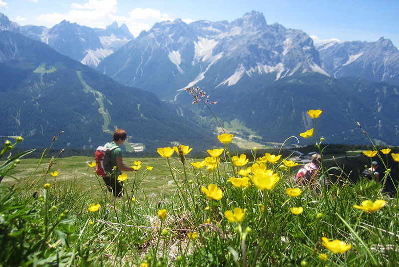 Escursione all‘Alta Via Carnica