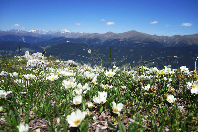 Wanderung Haunoldköpfl