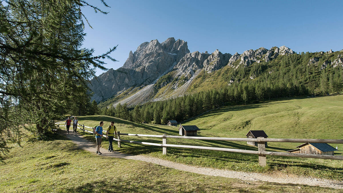 Nordic Walking Rotwandwiesen