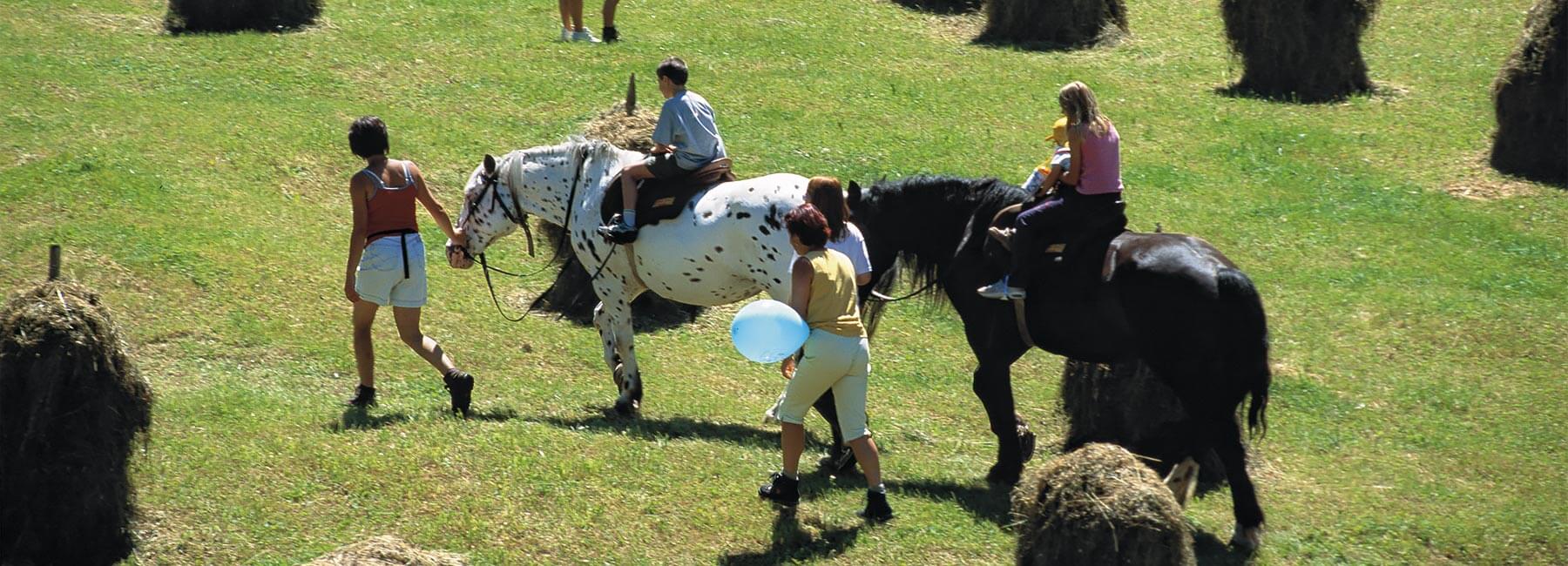 Reiten im Fischleintal