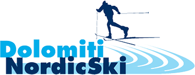 Nordik Ski Logo