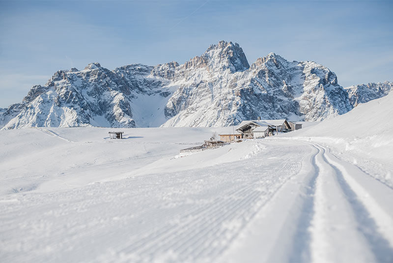 Cross-country skiing