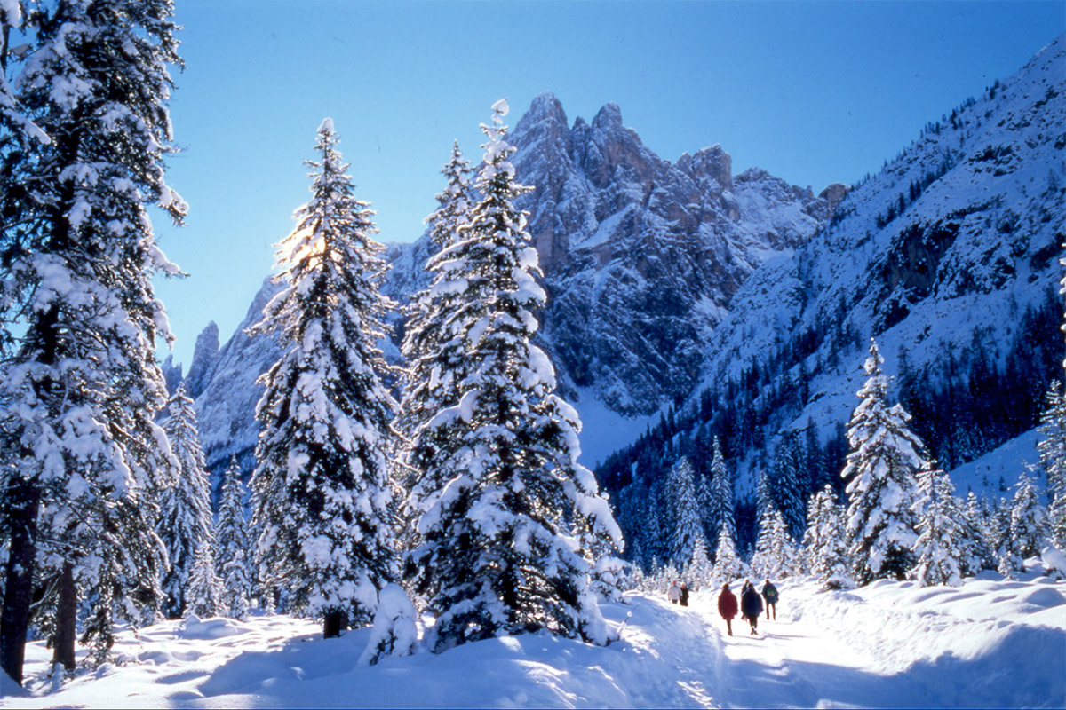Un'escursione e un giro in slitta nella selvaggia e romantica valle di Innerfeld