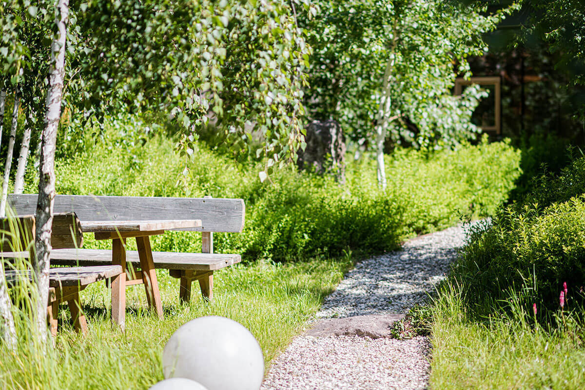 Relax one day, reading a book in our birch garden