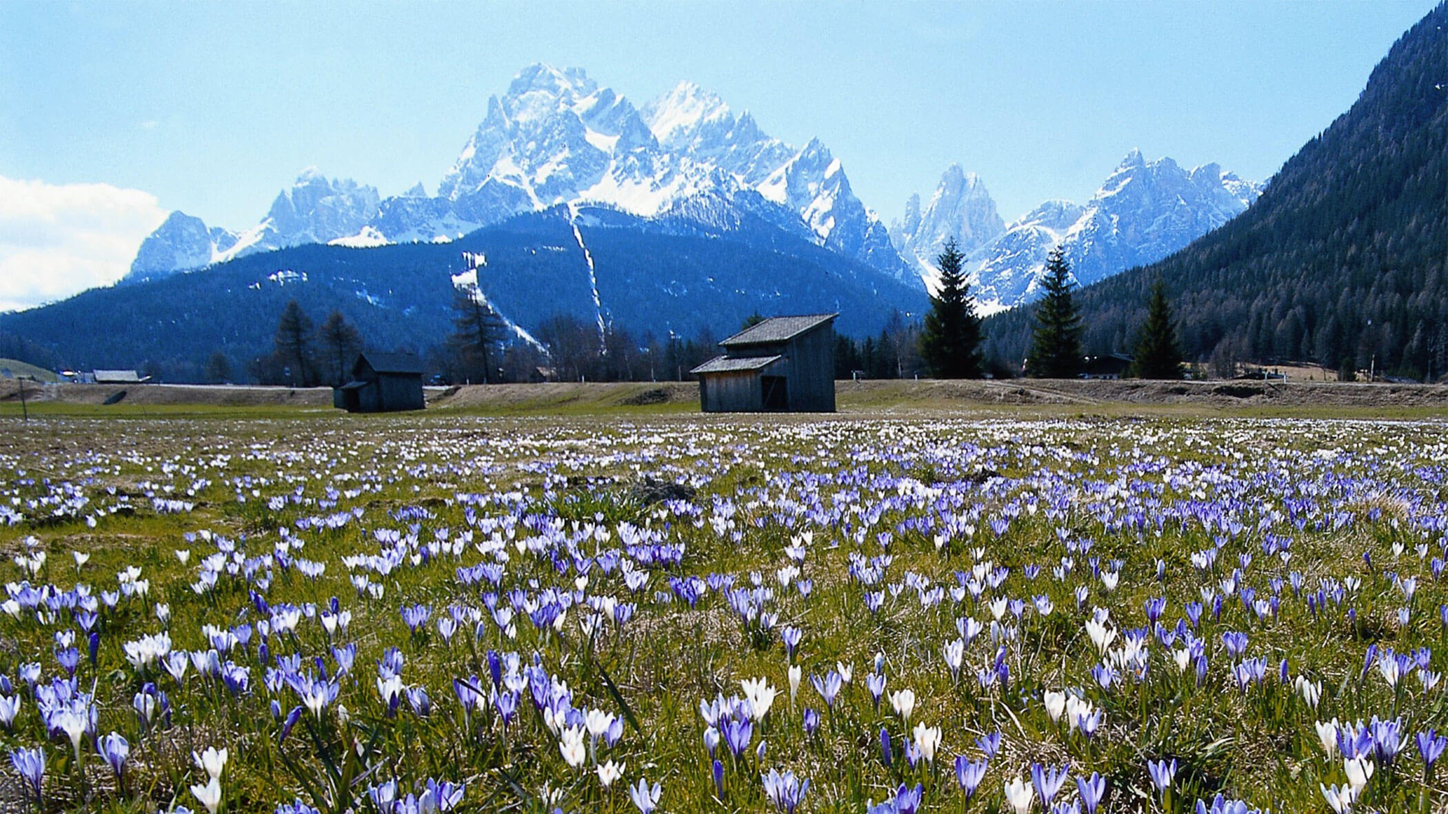 Spring at the beginning of the Fischlein Valley at Sesto