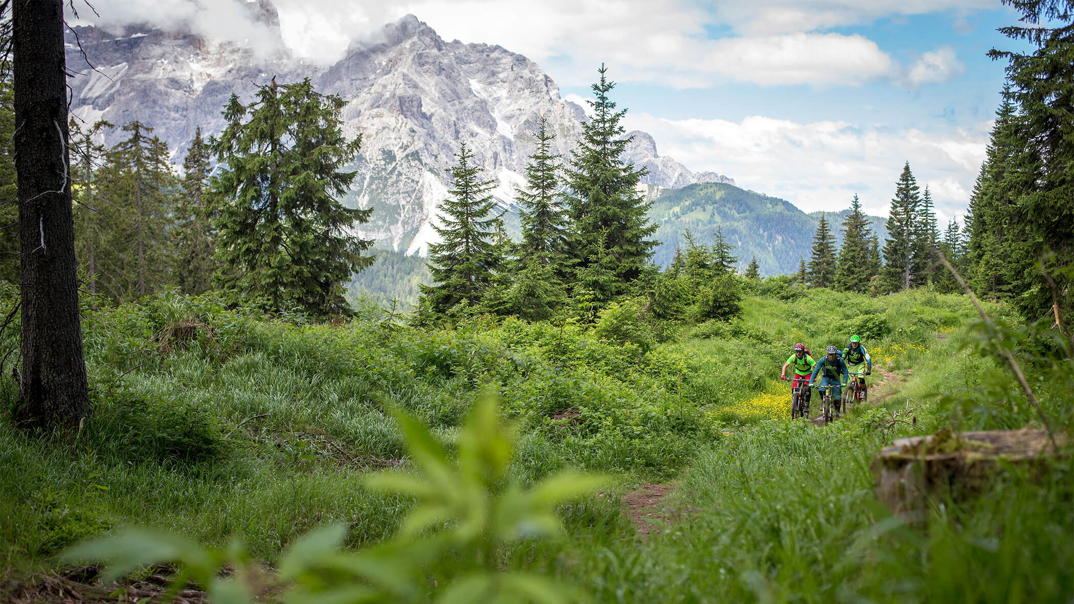 Mountain biking & bike tours