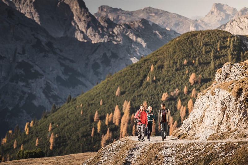 Wanderung zur Grünwaldalm