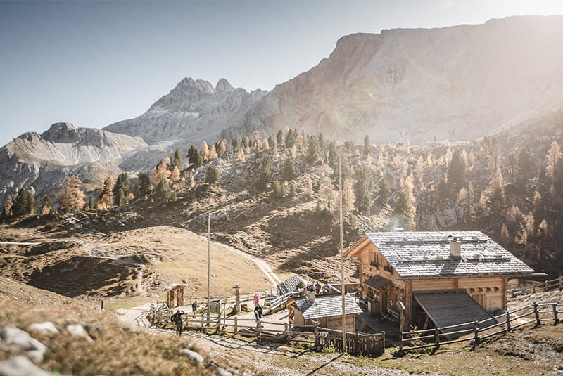 Alla malga de Fojedöra