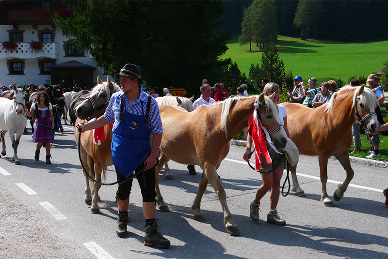 Alp Celebration