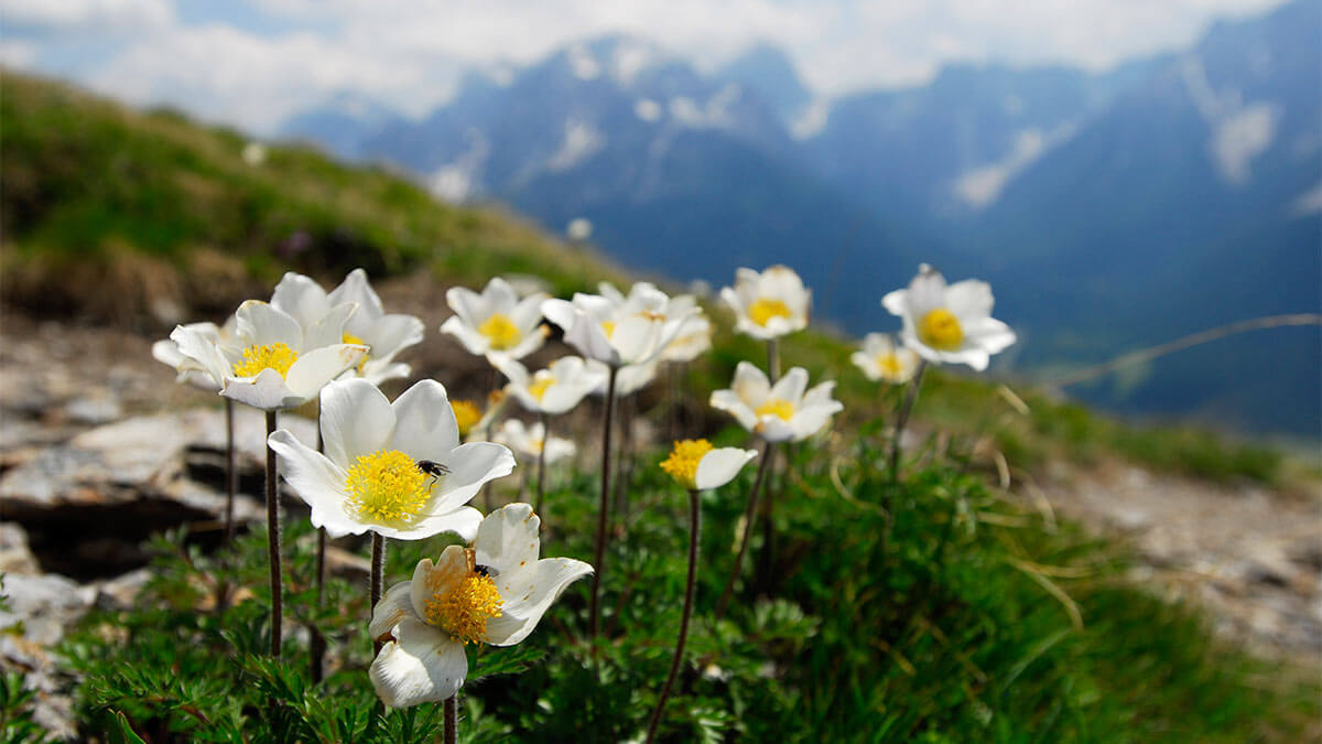 Nature Park Three Peaks