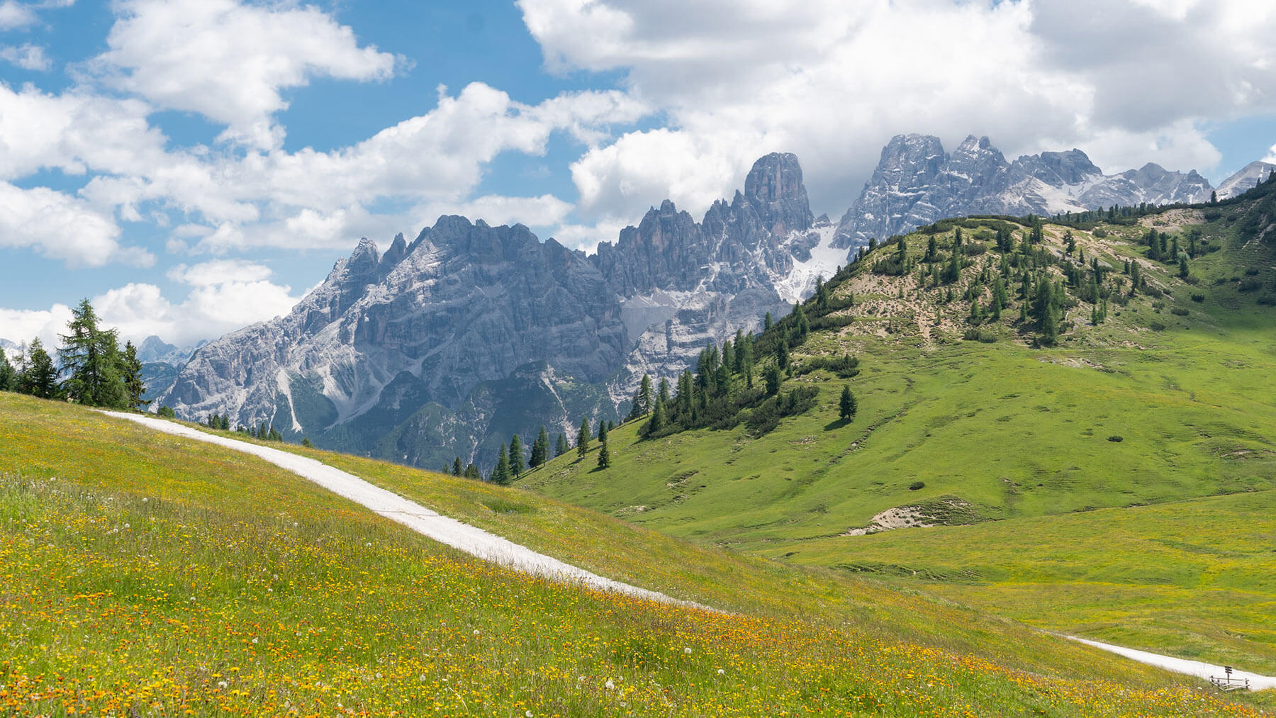 Foto del paesaggio montano da Prato Piazza - vista Monte Cristallo
