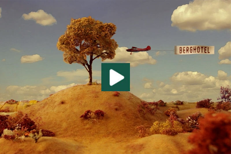 Video 2014