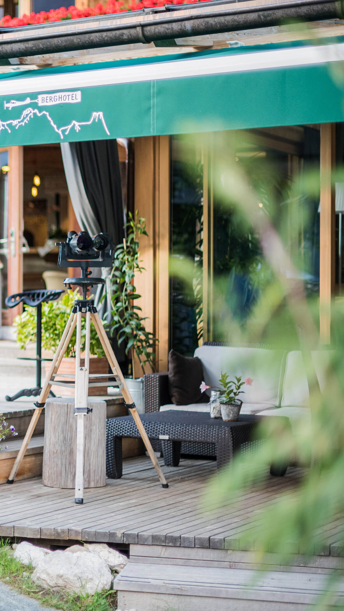 Johnny the housedog outside