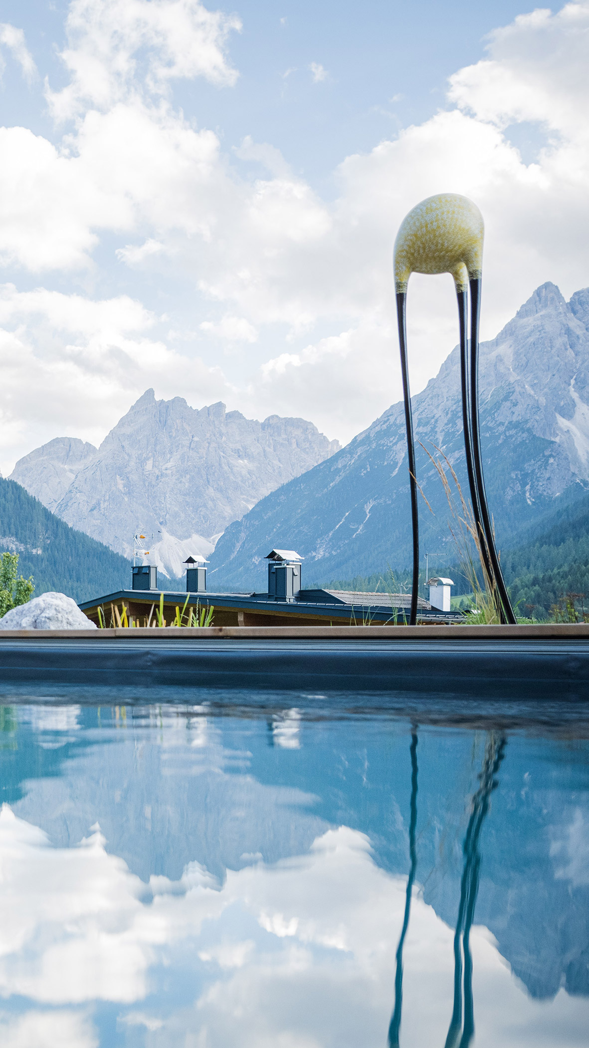 Berghotels nature swimming pool