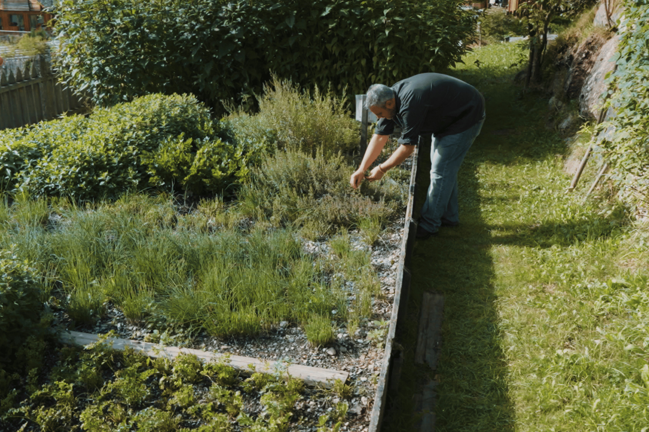 Nachhaltigkeit & gesunde Lebensmittel