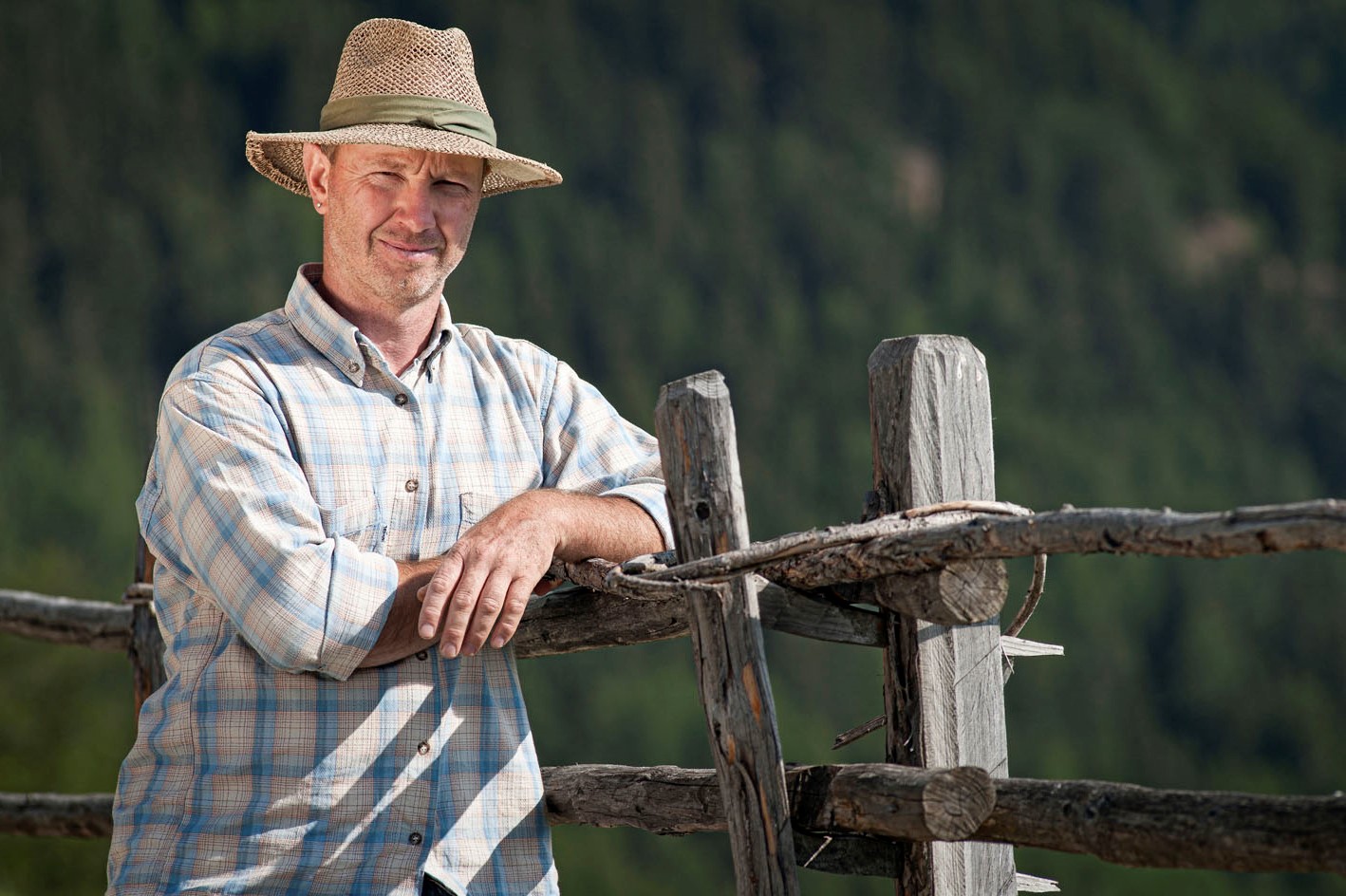 Berghotel Partner Kräuterhof Fasui