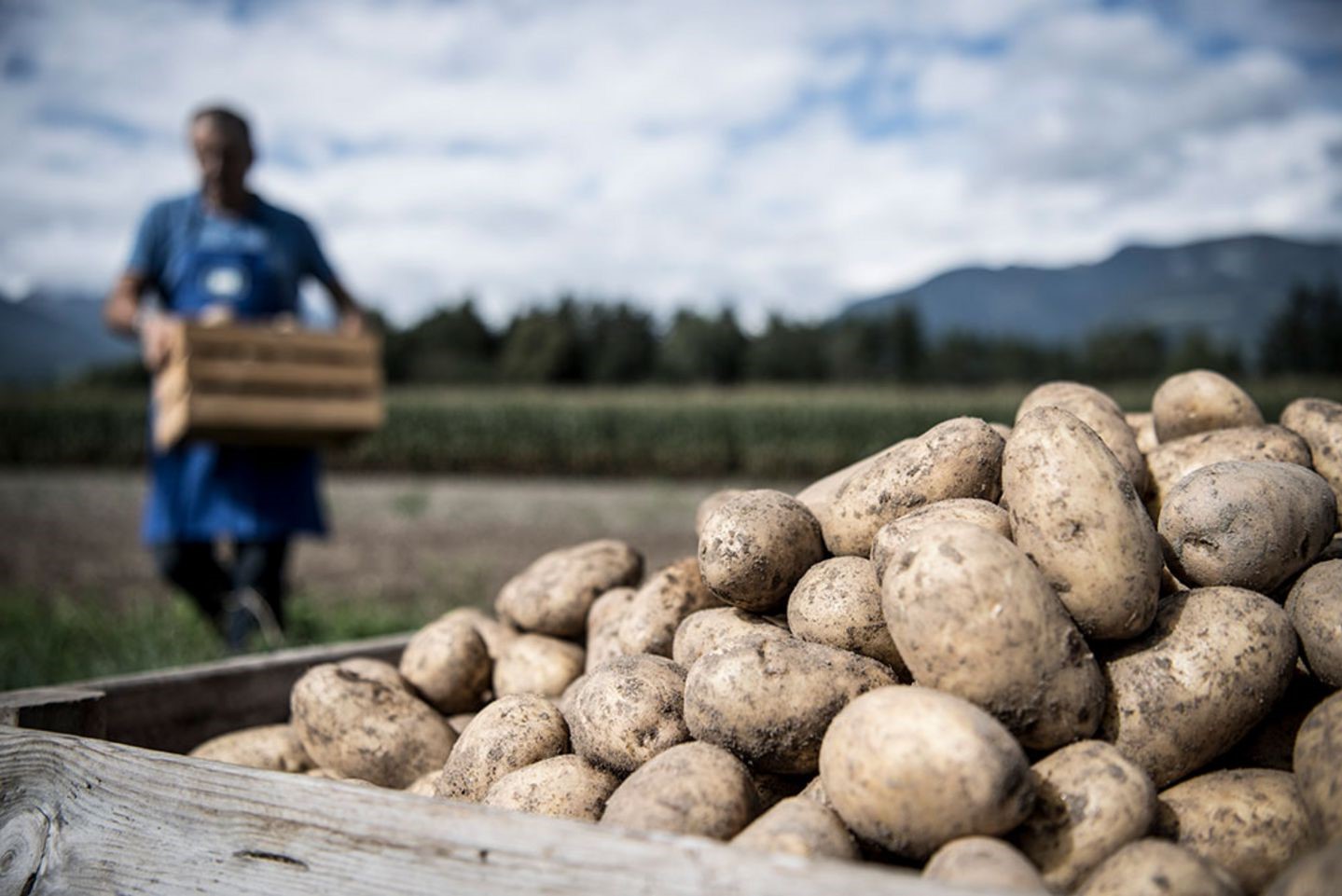 Berghotel Partner Saatbaugenossenschaft Bruneck