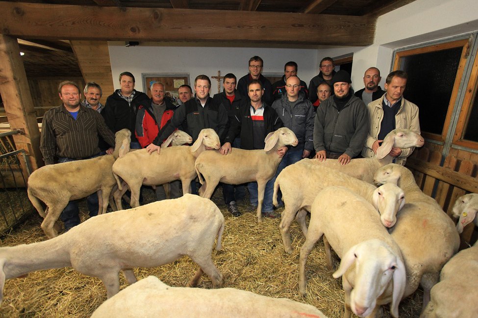 Berghotel Partner Wippland