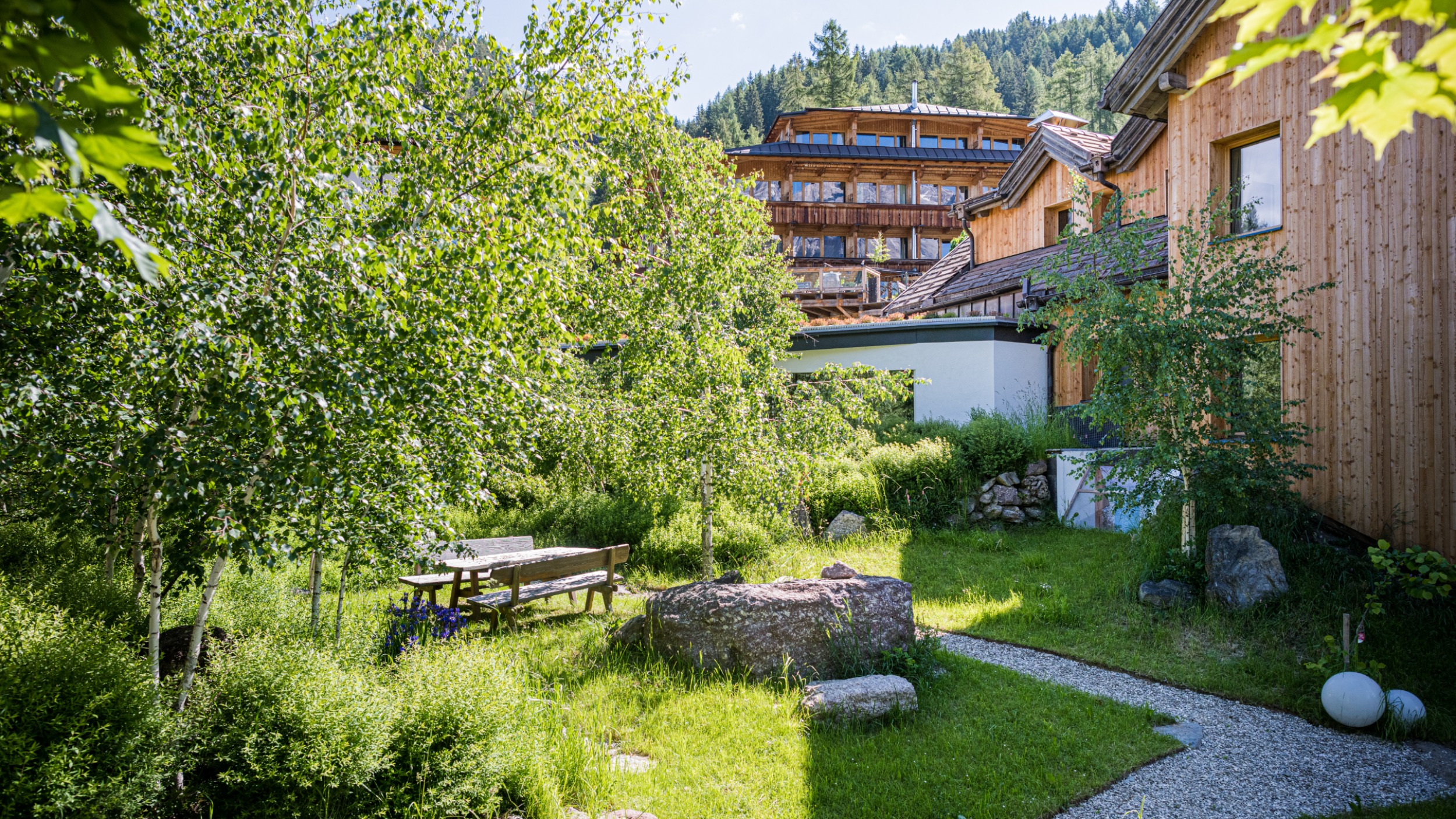 Il giardono del silenzio - il giardino di betulle tra Zirm e Larice