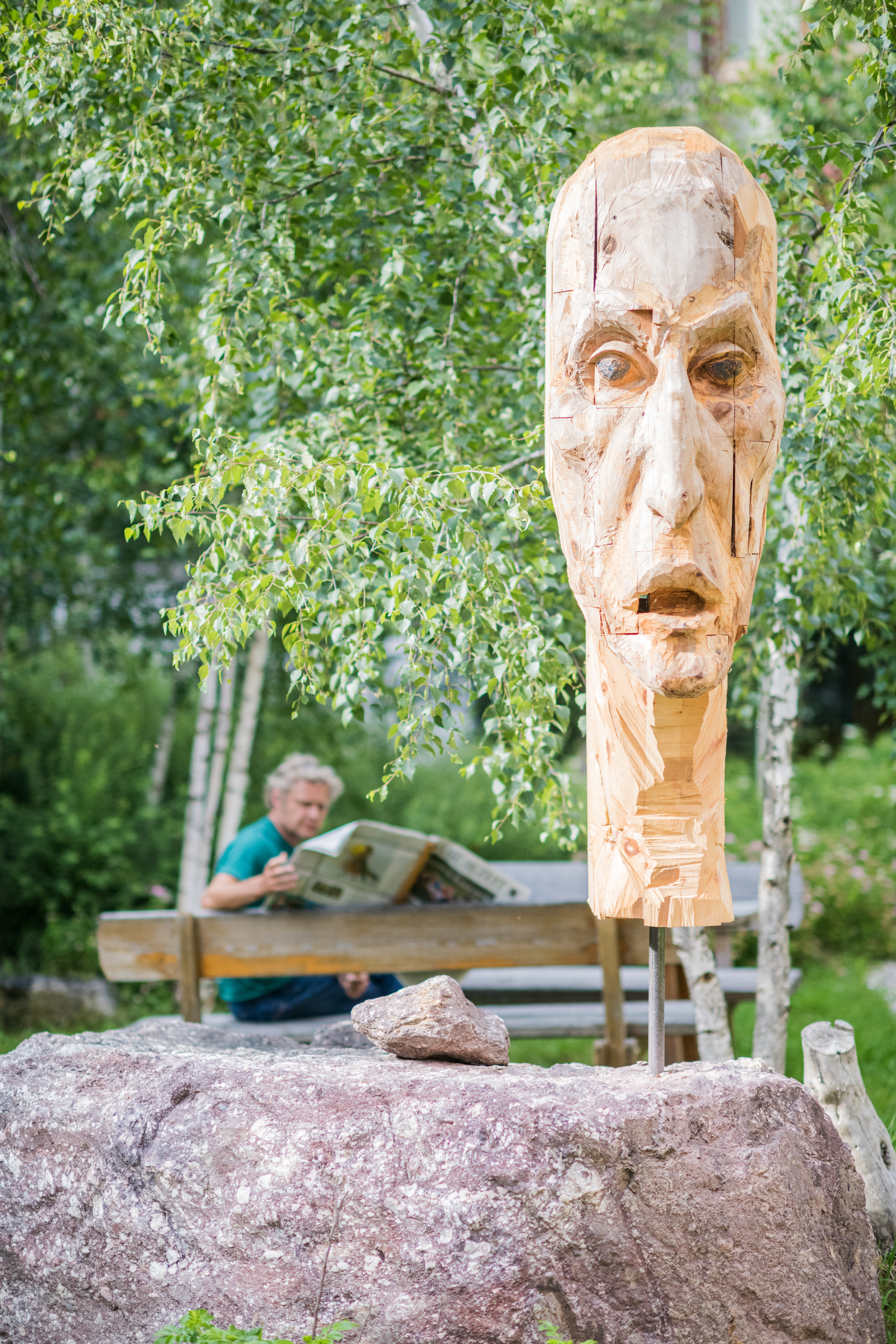 Giardino delle betulle