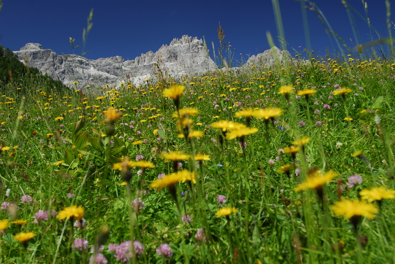 Gita in mountain bike: Rifugio Tre Scarperi - Val Campo di Dentro
