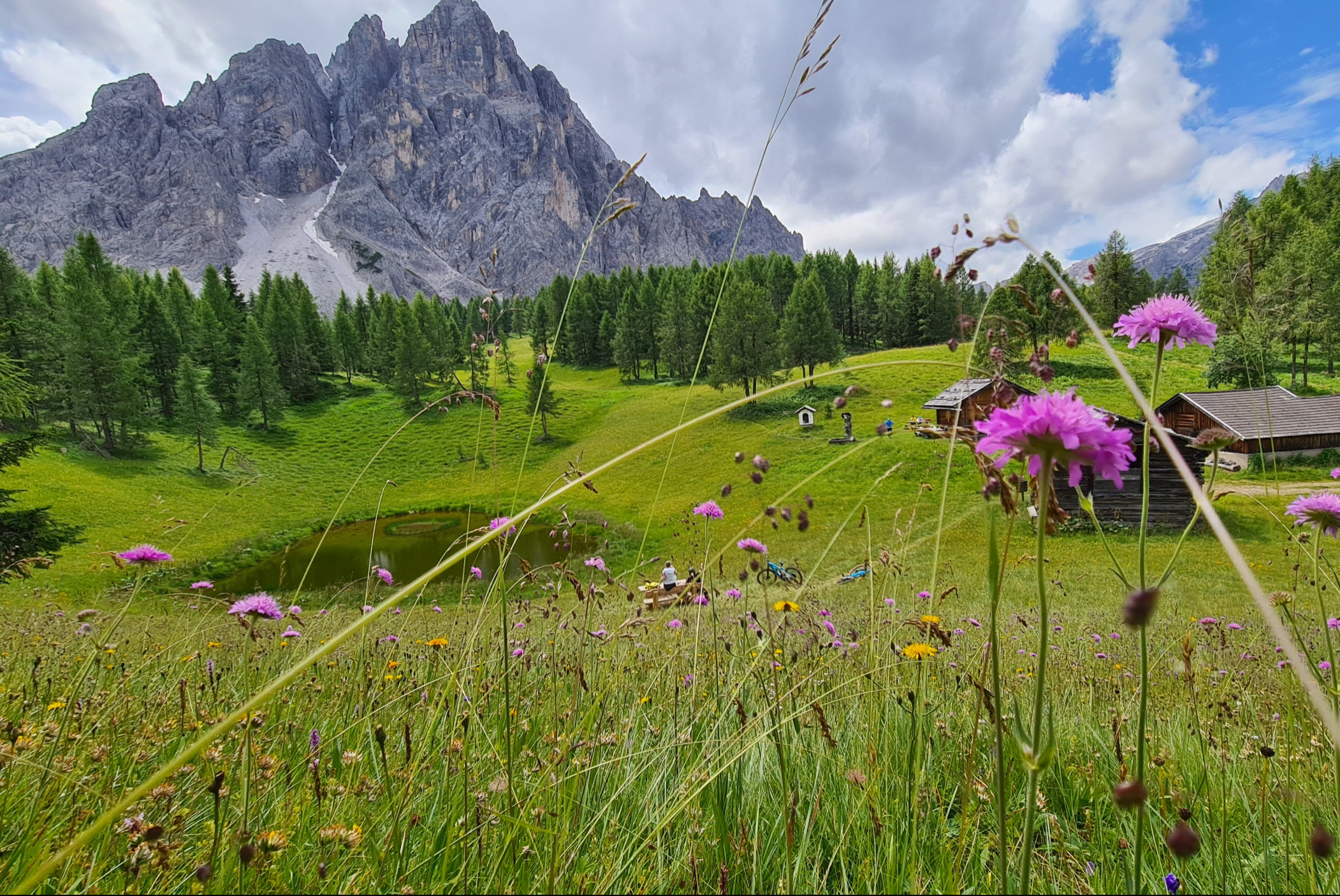 Wanderung zu den Gsellwiesen
